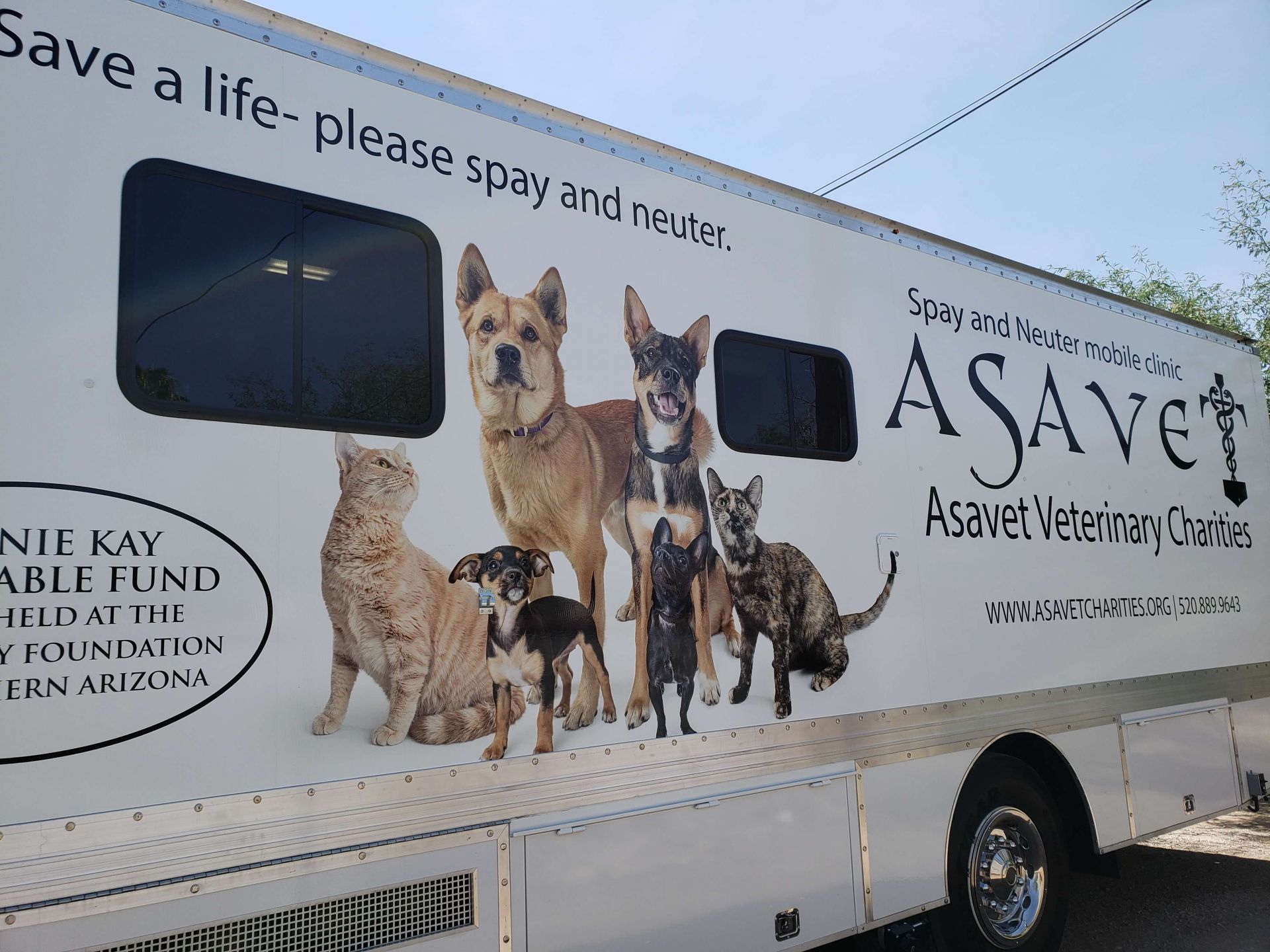 Veterinary Non Profit Organization | ASAVET Charities